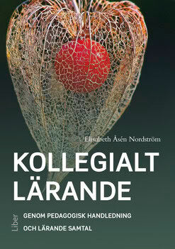 Elisabeth Åsén Nordström : Kollegialt lärande