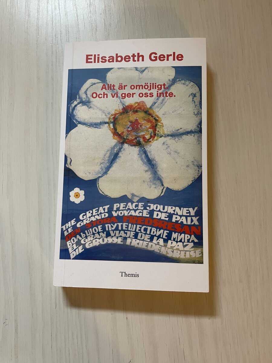 Elisabeth Gerle : Allt är omöjligt och vi ger oss inte