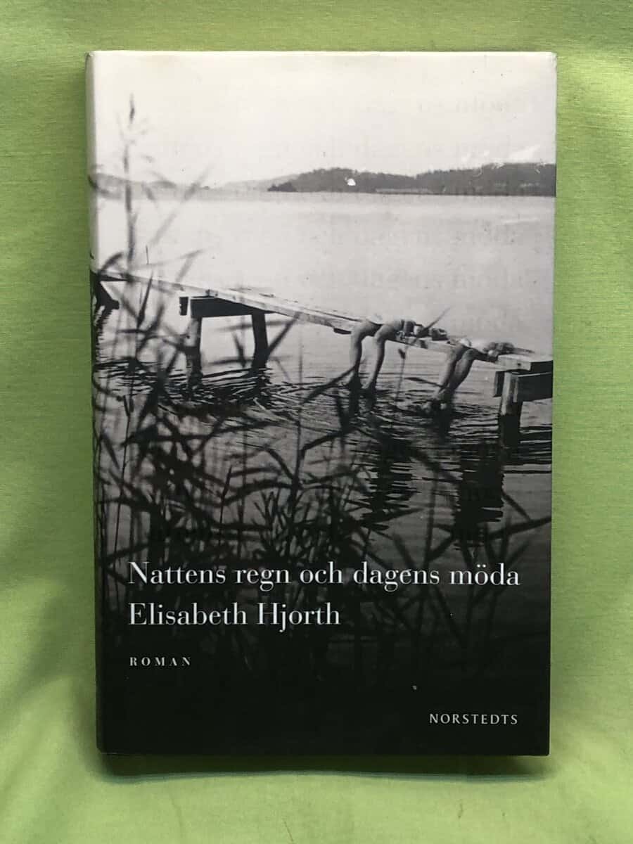 Elisabeth Hjorth : Nattens regn och dagens möda