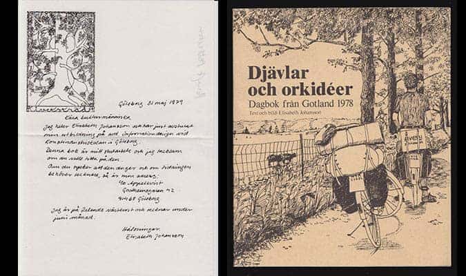 Elisabeth Johansson : Djävlar och orkidéer