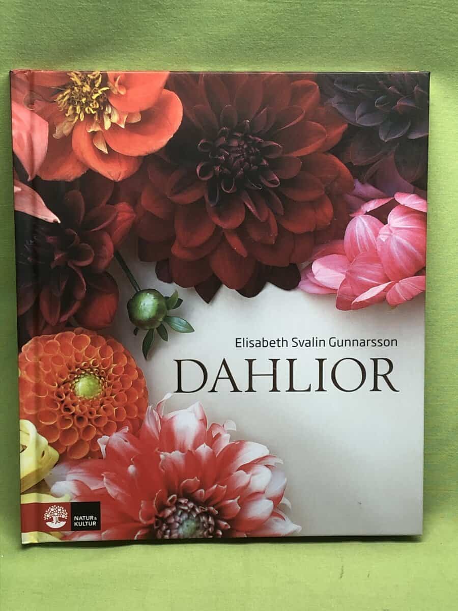 Elisabeth Svalin Gunnarsson : Dahlior