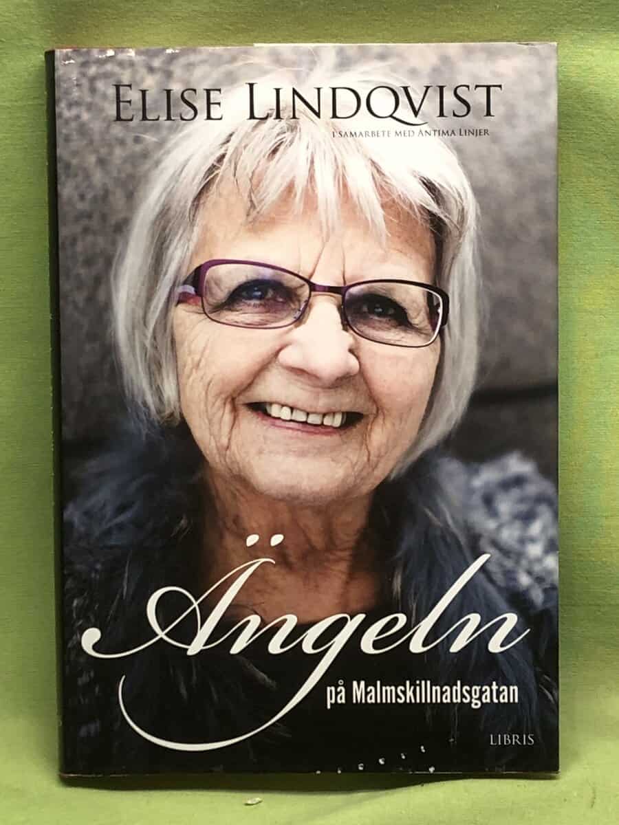 Elise Lindqvist : Ängeln på Malmskillnadsgatan
