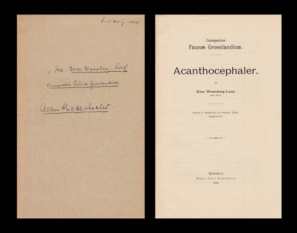 Elise Wesenberg-Lund : Acanthocephaler (Hakmaskar)