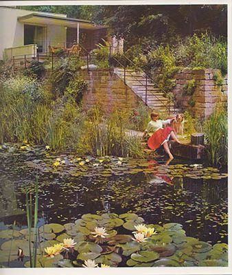 Elizabeth Schuler : Min trädgård, mitt paradis