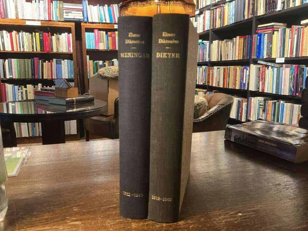 Elmer Diktonius : Meningar
