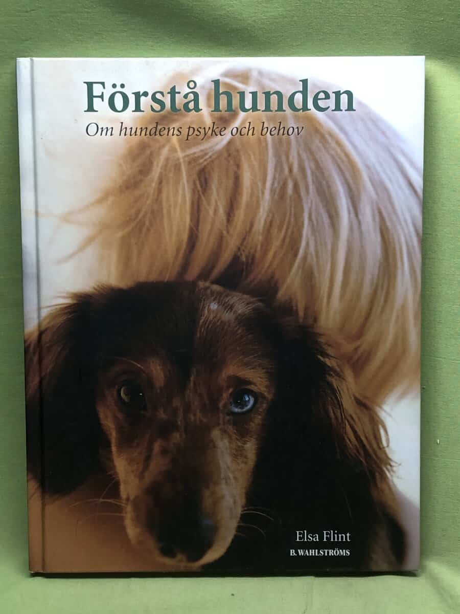 Elsa Flint : Förstå hunden
