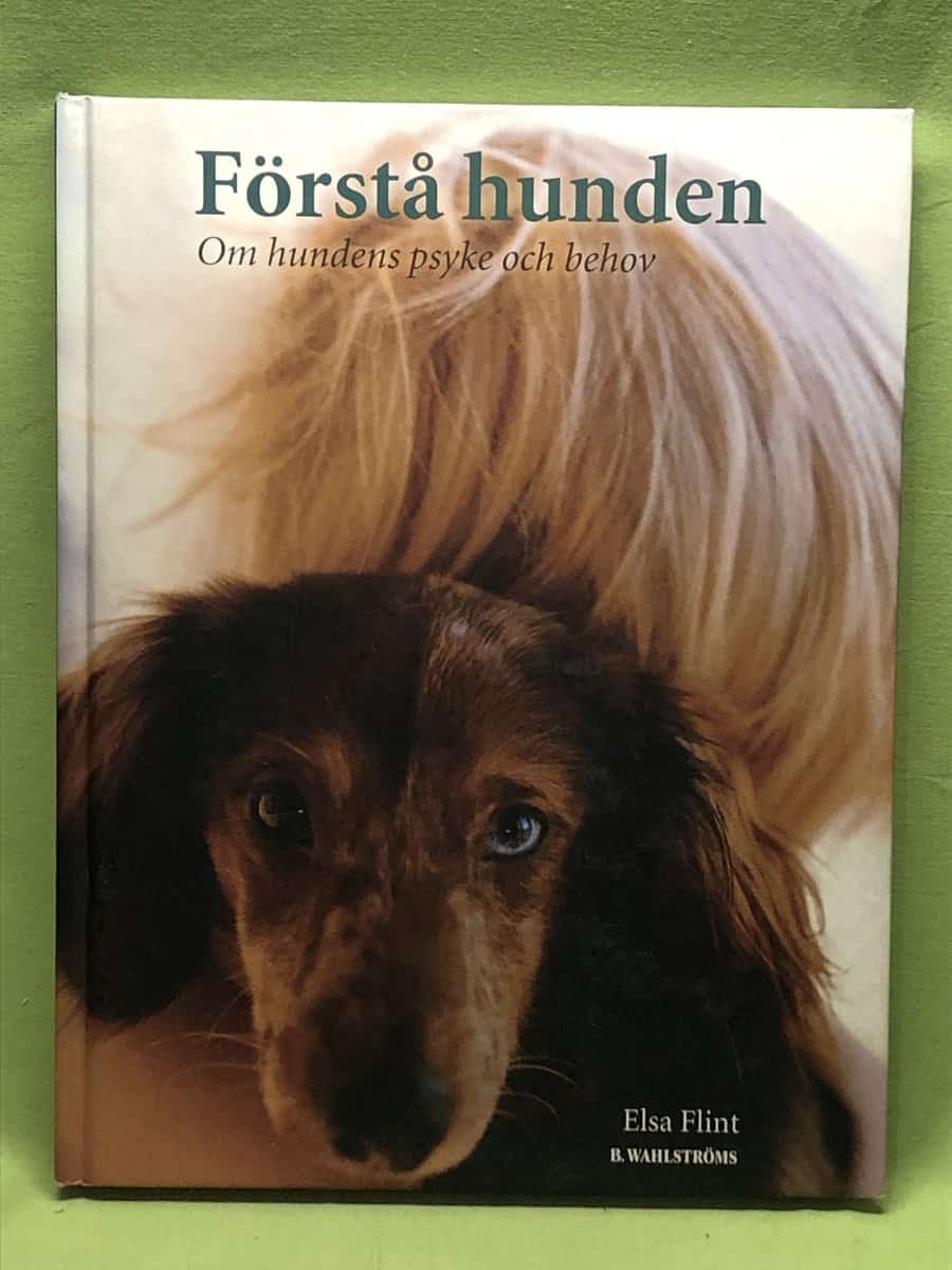 Elsa Flint : Förstå hunden