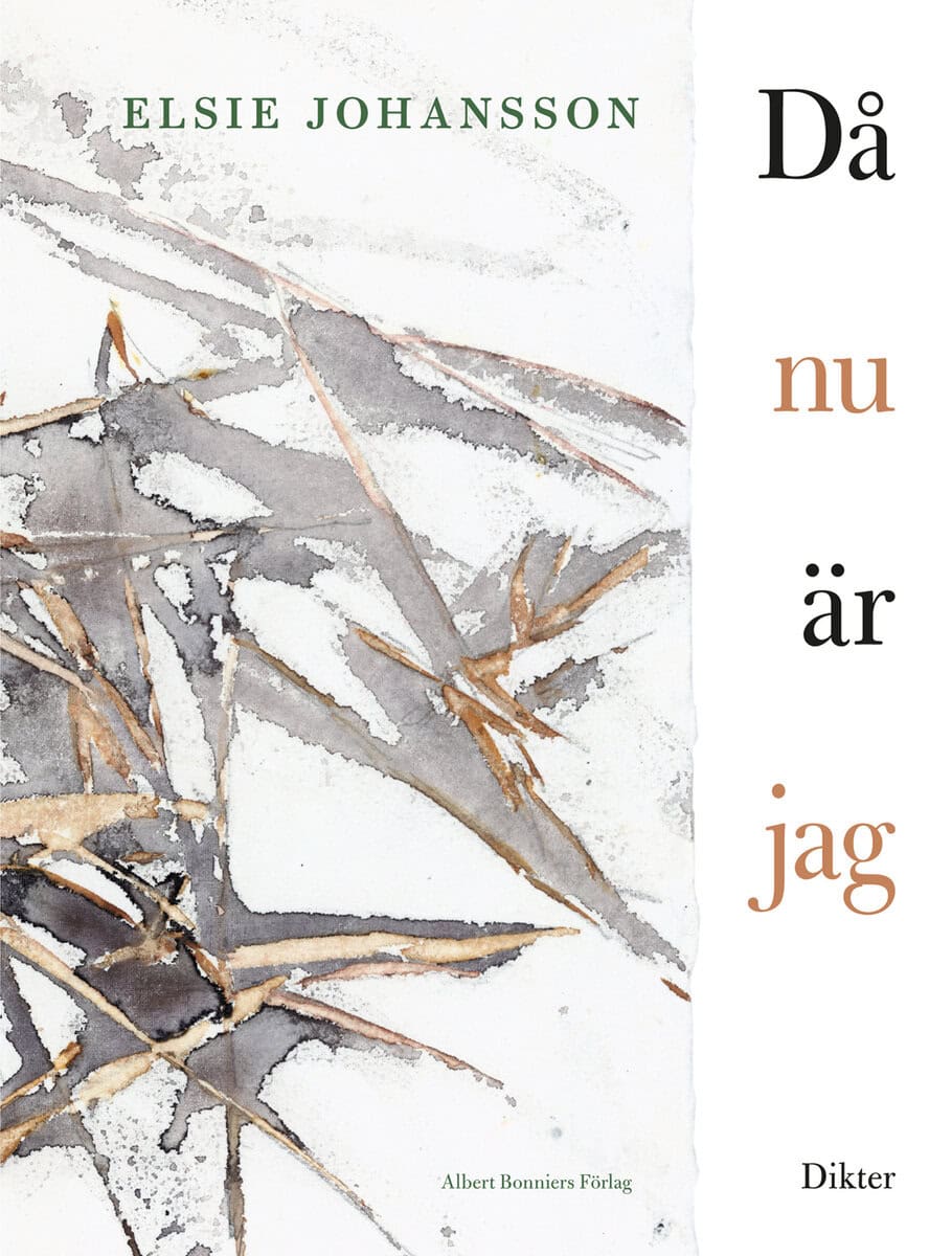 Elsie Johansson : Då nu är jag