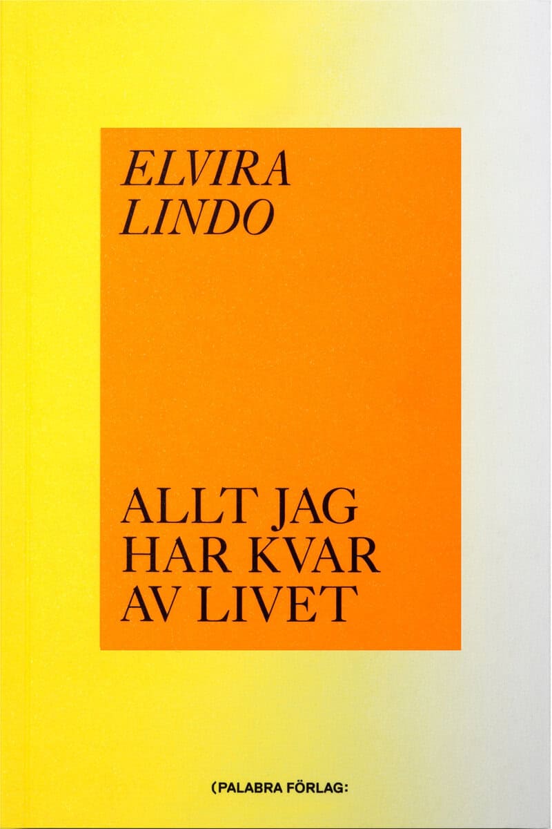 Elvira Lindo : Allt jag har kvar av livet