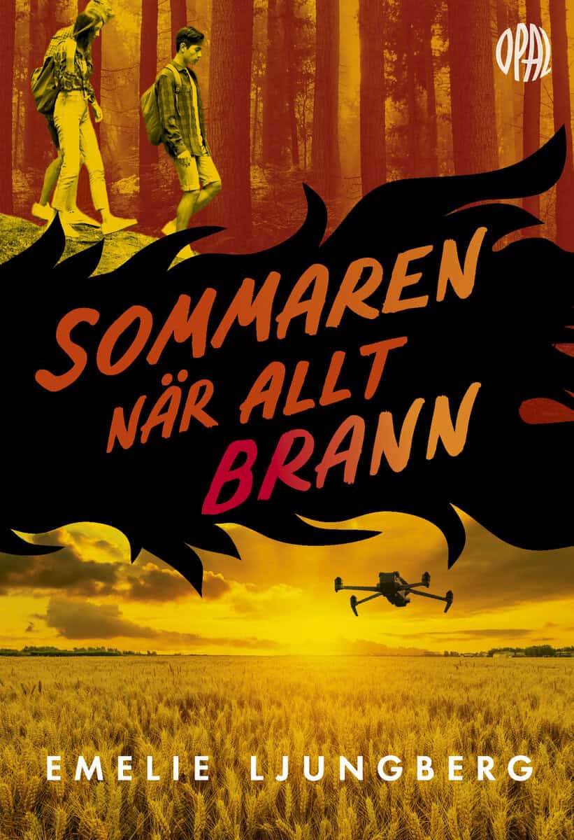 Emelie Ljungberg : Sommaren när allt brann