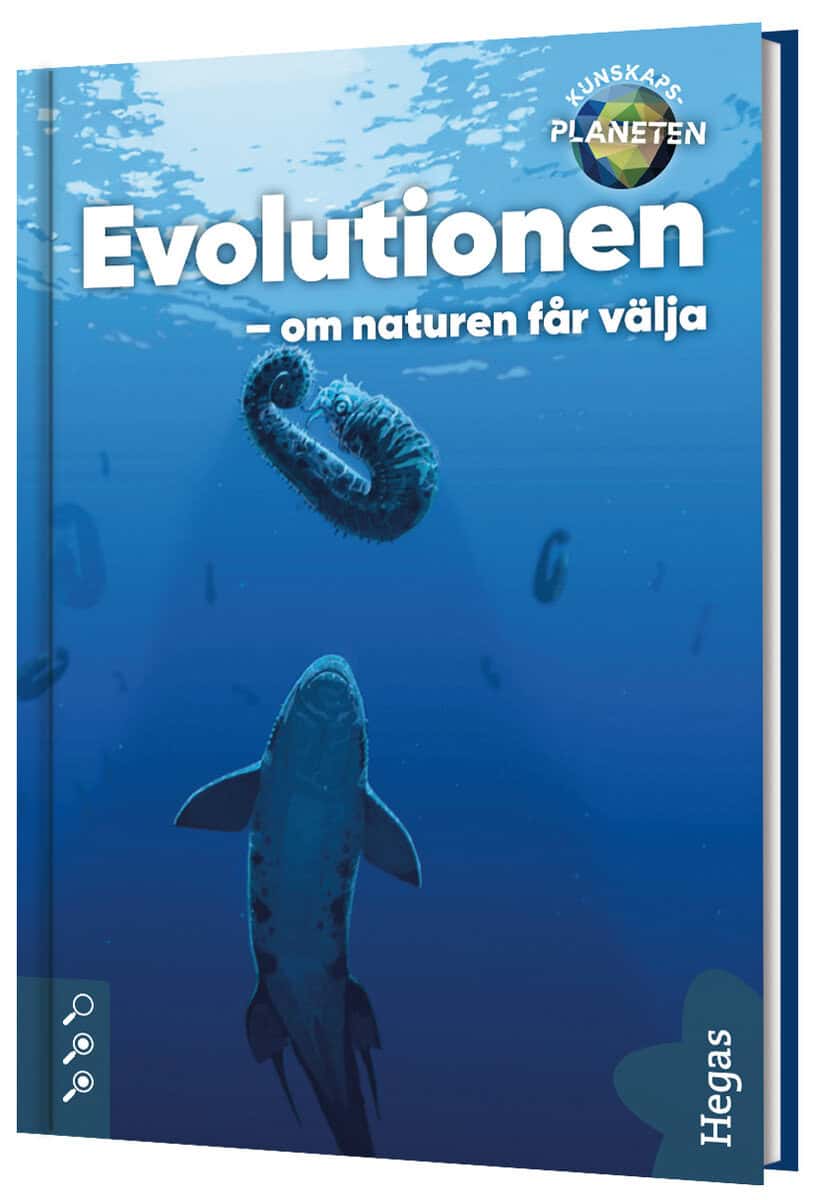Emelie Olofsson : Evolutionen