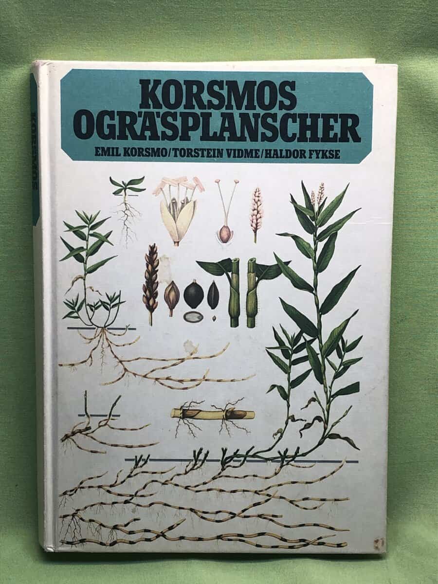 Emil Korsmo : Korsmos ogräsplanscher