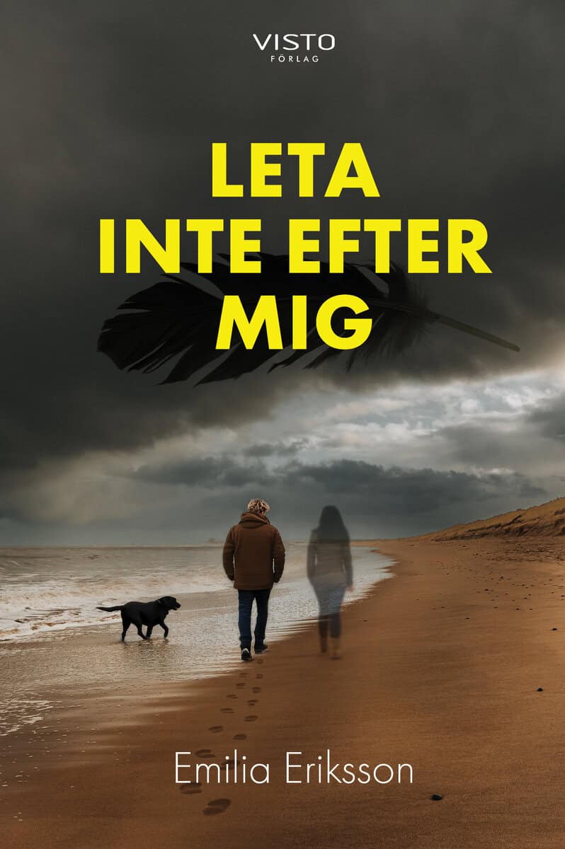 Emilia Eriksson : Leta inte efter mig