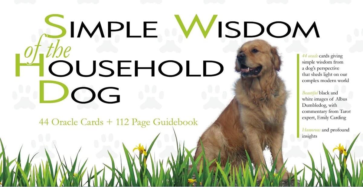Emily Carding : Simple wisdom of the household dog - an oracle