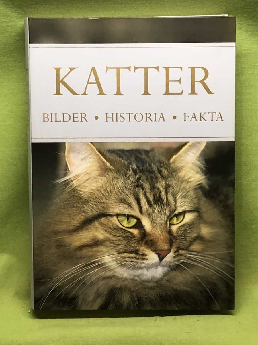 Emily Williams : Katter