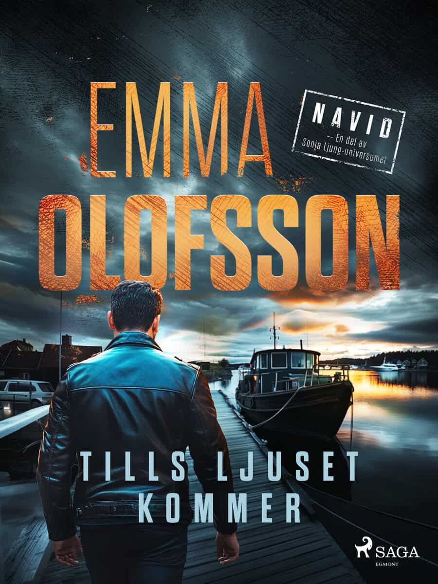 Emma Olofsson : Tills ljuset kommer