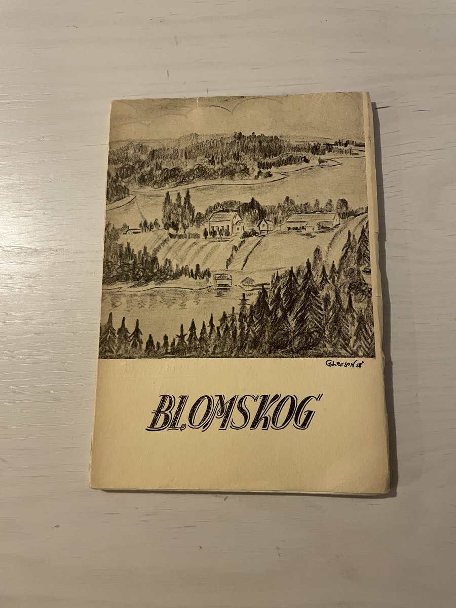 Emmy Olsson-Zaringh : Blomskog