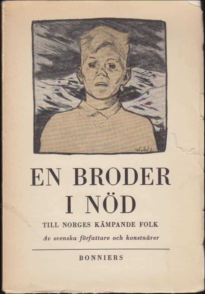En broder i nöd