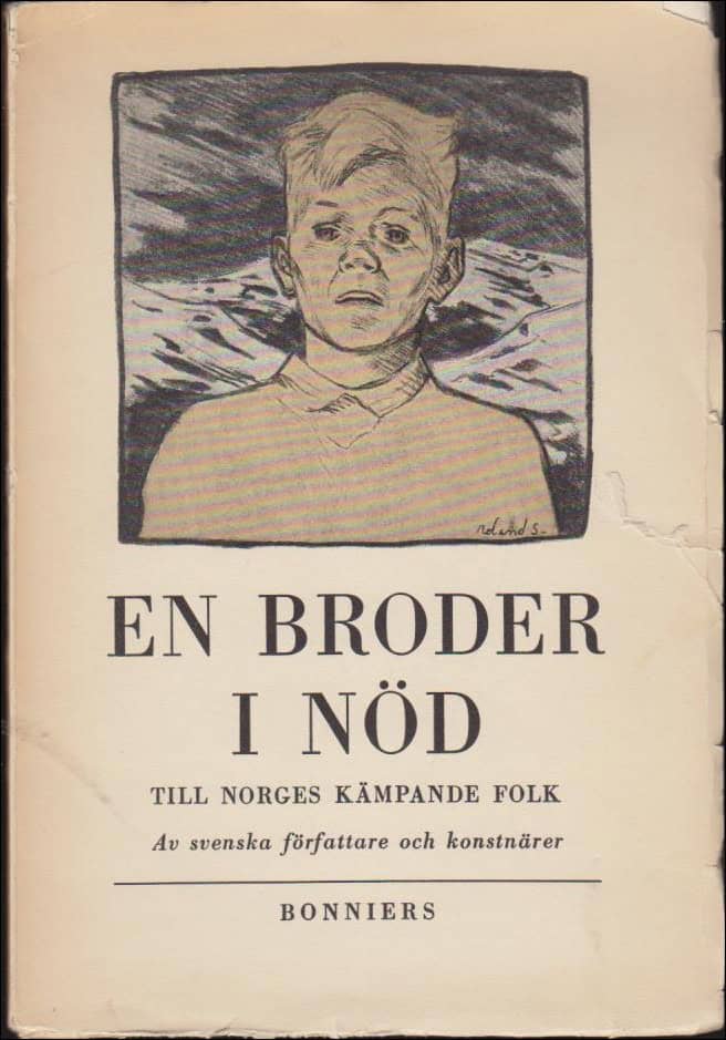 En broder i nöd
