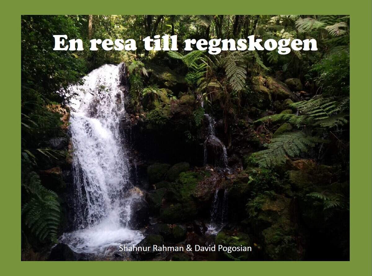 En resa till regnskogen
