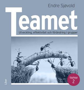 Endre Sjøvold : Teamet : Utveckling, effektivitet och förändring i grupper