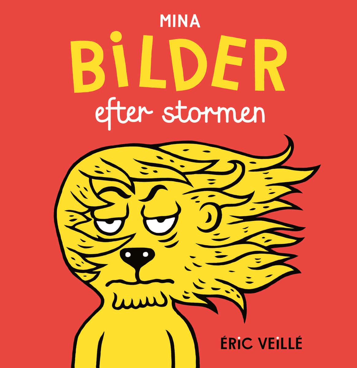 Éric Veillé : Mina bilder efter stormen