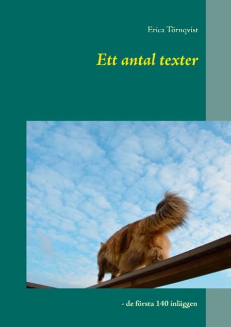 Erica Törnqvist : Ett antal texter