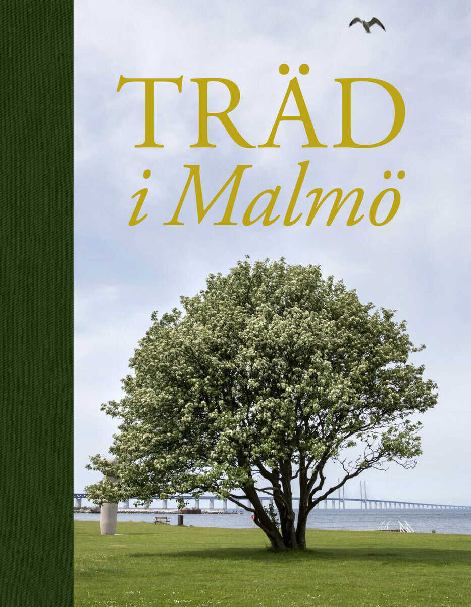 Ericson, Gunnar ; Bellan, Patrick ; Anderson, Camilla : Träd i Malmö