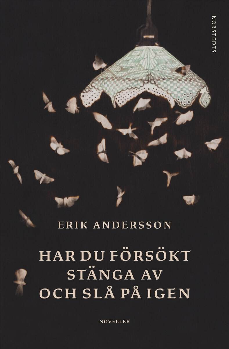 Erik Andersson : Har du försökt stänga av och slå på igen : noveller