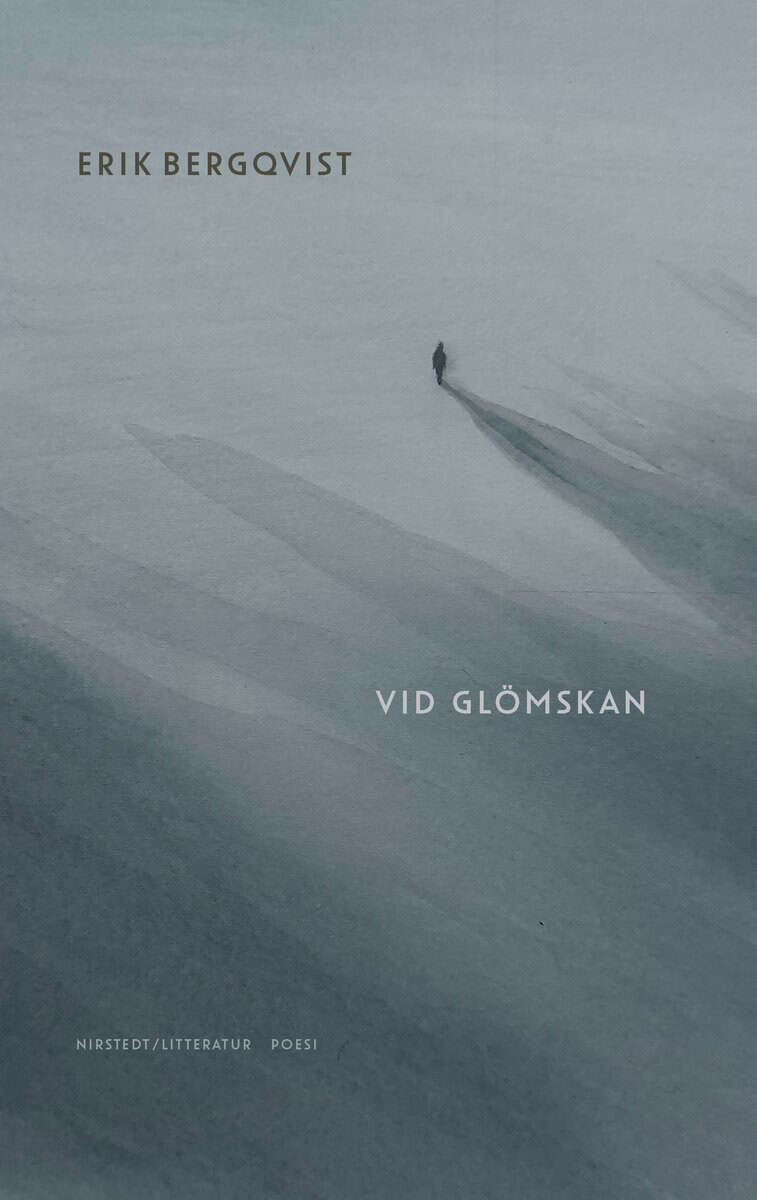 Erik Bergqvist : Vid glömskan