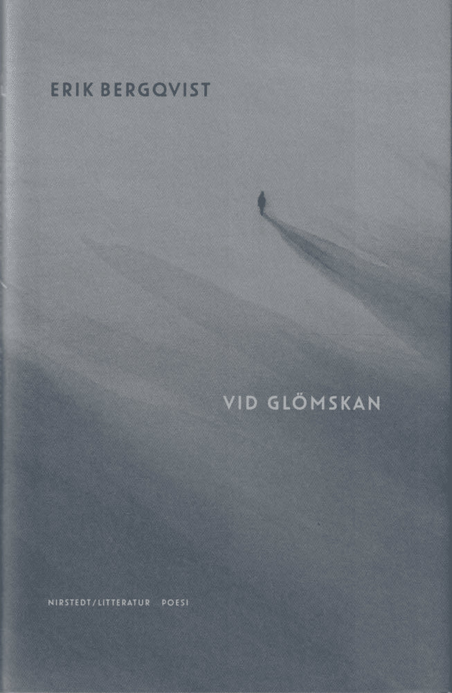 Erik Bergqvist : Vid glömskan