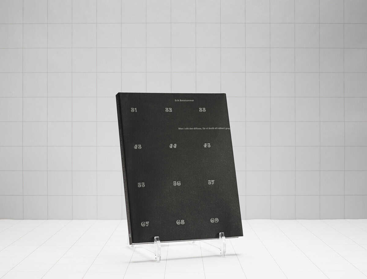 Erik Betshammar : Men i allt det diffusa, får vi ändå ett säkert grepp om omgivningens karaktär