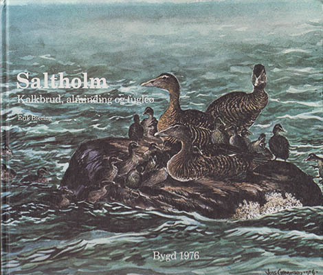 Erik Biering : Saltholm