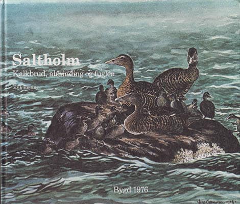 Erik Biering : Saltholm