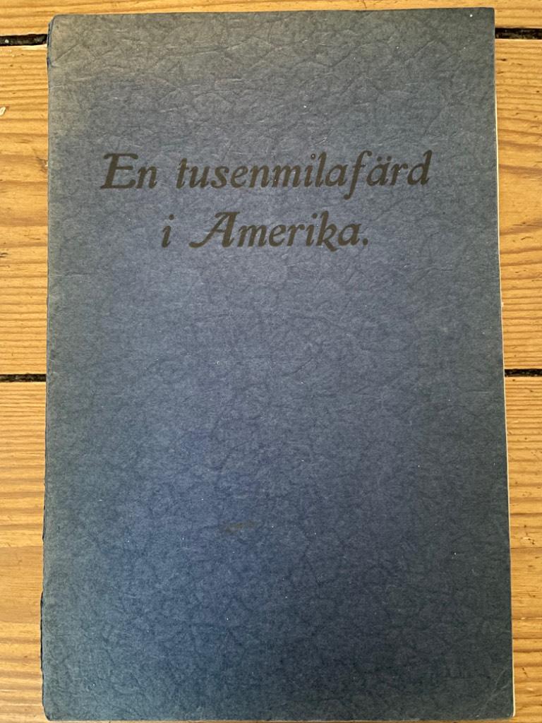 Erik Engström, Nils Björkström, Ida Sandberg : En tusenmilafärd i Amerika