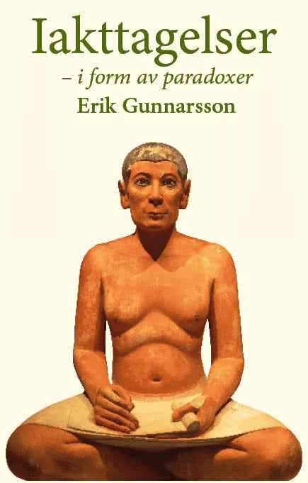 Erik Gunnarsson : Iakttagelser - i form av paradoxer