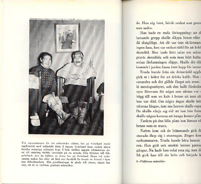 Erik Martinsson : Viddernas människor