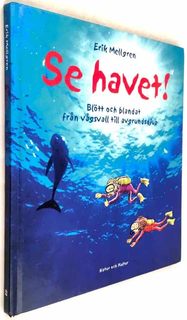Erik Mellgren ; Robert Nyberg : Se havet