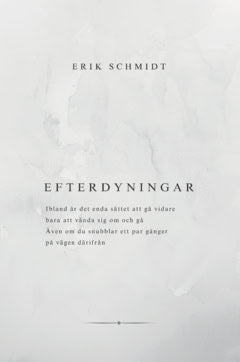 Erik Schmidt : Efterdyningar
