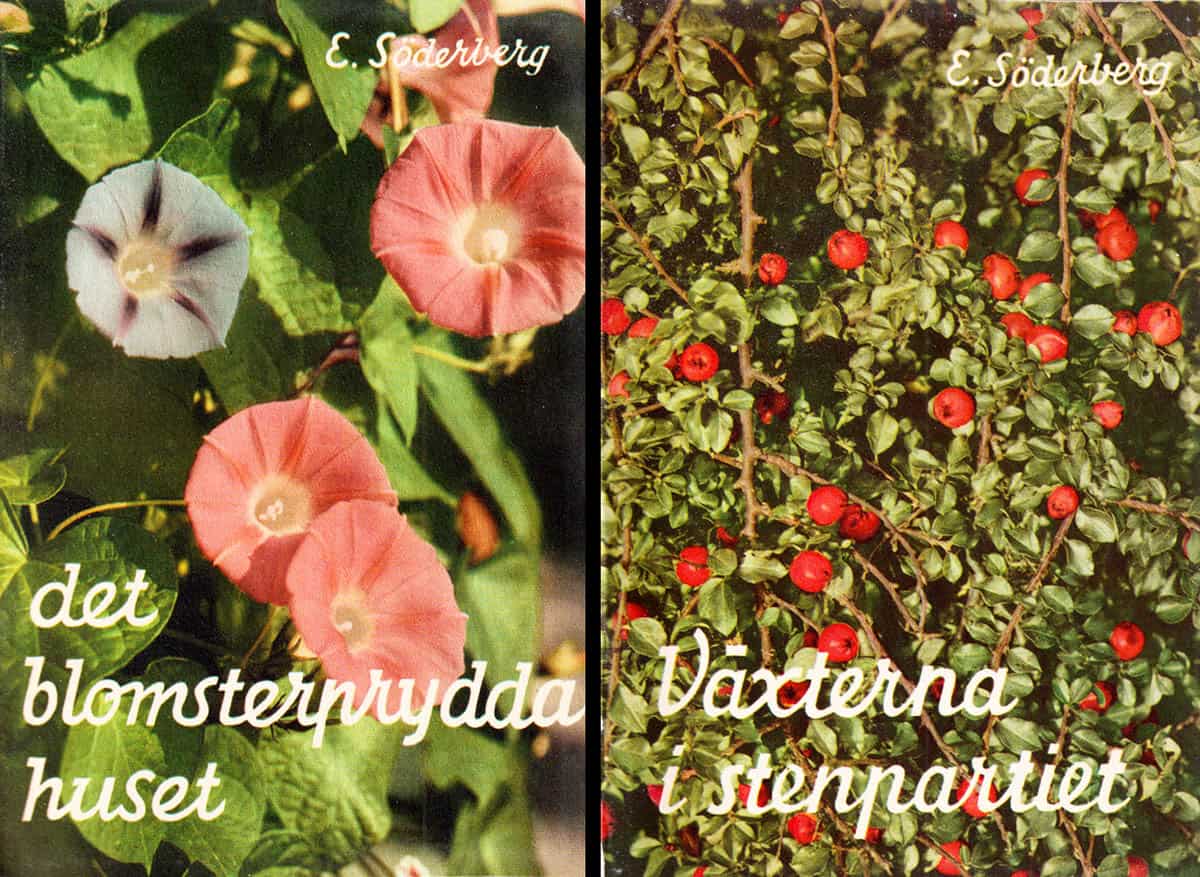 Erik Söderberg : Det blomsterprydda huset