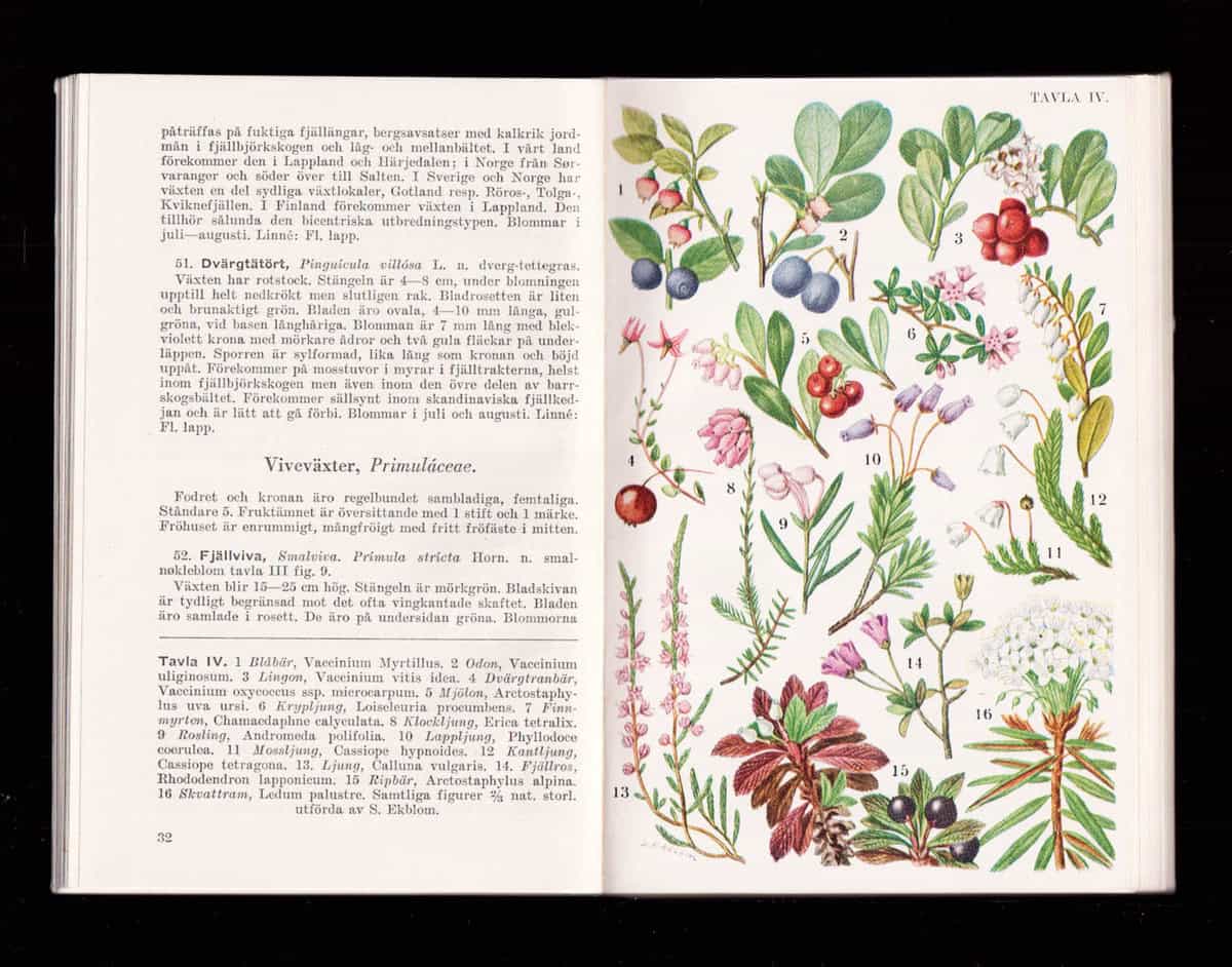 Erik Söderberg : Våra vilda växter och hur man känner igen dem. Illustrerad fickbok. Del I. Fjällväxter