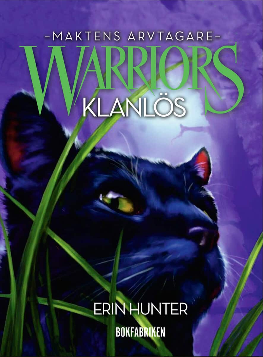 Erin Hunter : Warriors 3. Klanlös