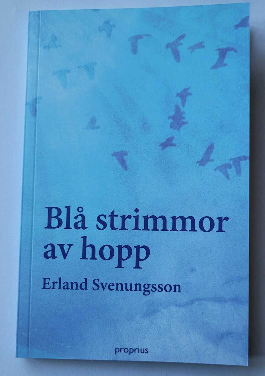 Erland Svenungsson : Blå strimmor av hopp