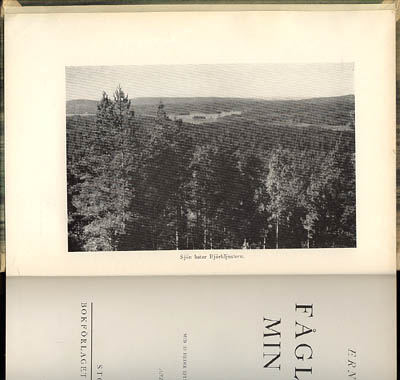 Ernst Lind : Fåglar vid min stuga. Med 115 bilder efter fotografier av författaren