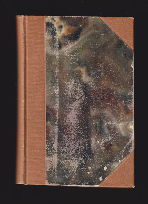 Ester Blenda Nordström : En rackarunge