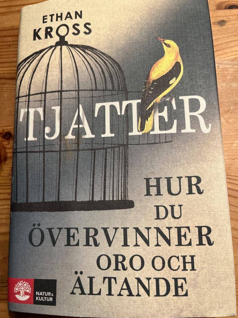 Ethan Kross : Tjatter