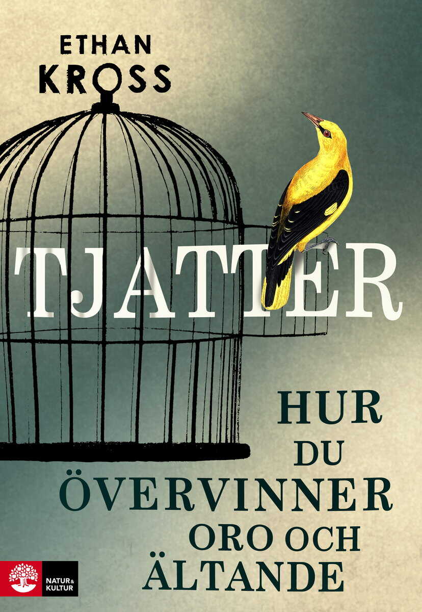 Ethan Kross : Tjatter : hur du övervinner oro och ältande