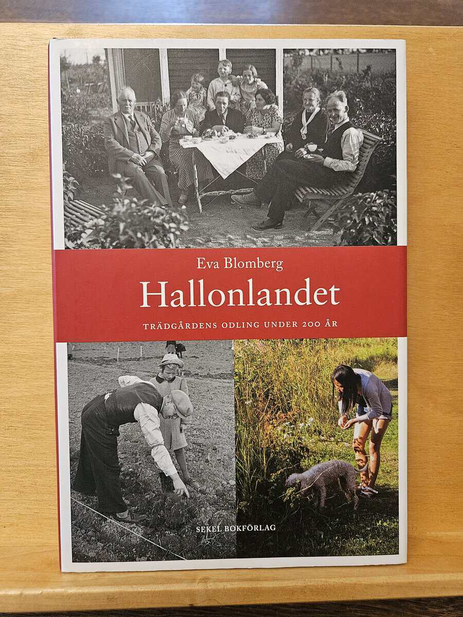 Eva Blomberg : Hallonlandet