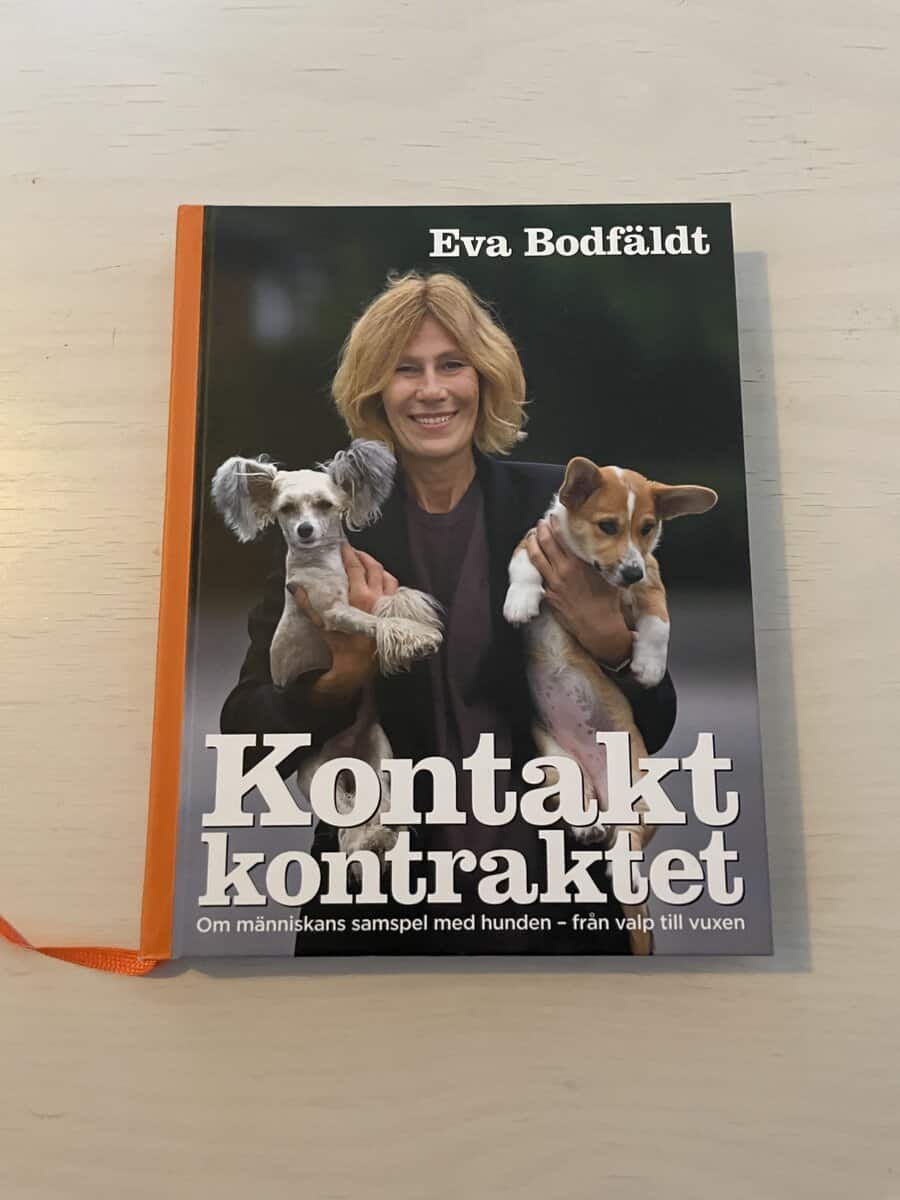 Eva Bodfäldt : Kontaktkontraktet