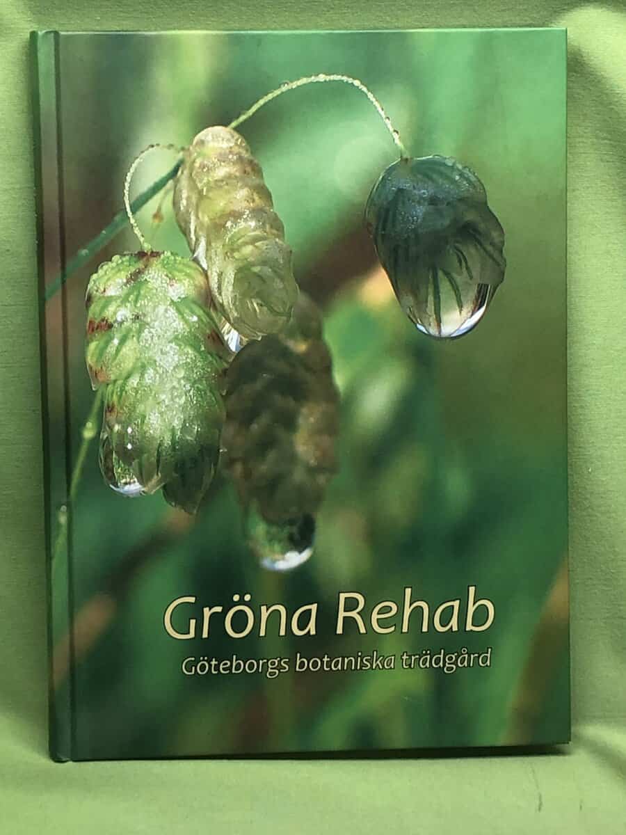 Eva-Lena Larsson : Gröna rehab
